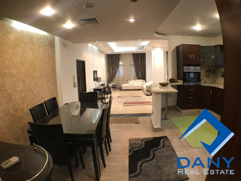 Residential Ground Floor Apartment For Rent Furnished in Maadi Digla Great Cairo Egypt